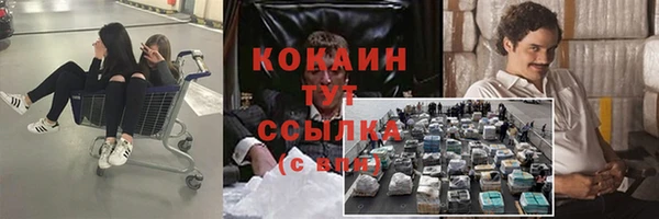 ешки Алексин