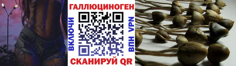 Купить где  Свободный  Псилоцибиновые грибы Magic Shrooms 