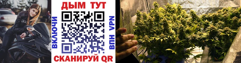 Купить  Свободный  Канабис SATIVA & INDICA 